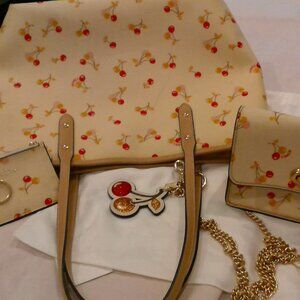 Coach 3 piece set & keychain.  Tote + purse + coin purse + key fob. Cherry.